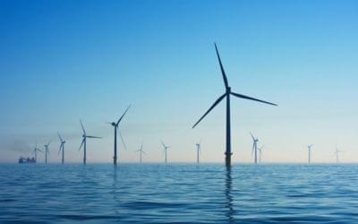 January 2022 Shipping Update: The Path to Decarbonize Shipping